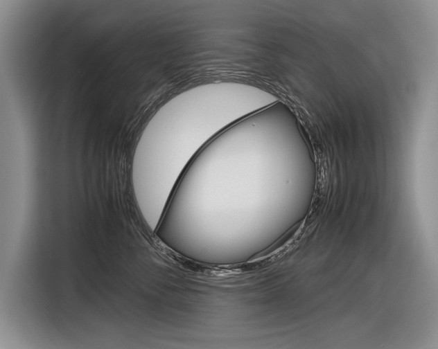X0000116840716200912181114
