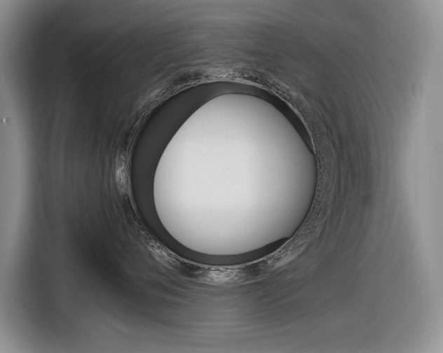 X0000116840720200912181114