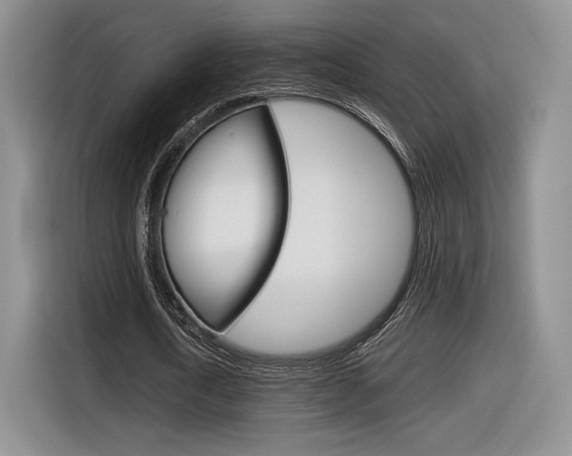 X0000116840722200912181114