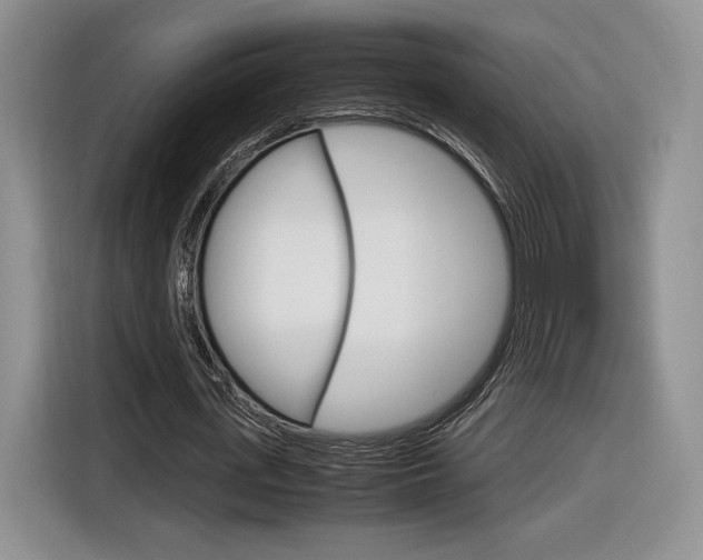 X0000116840723200912181114