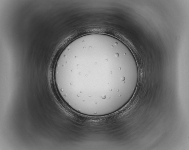 X0000116840725200912181114