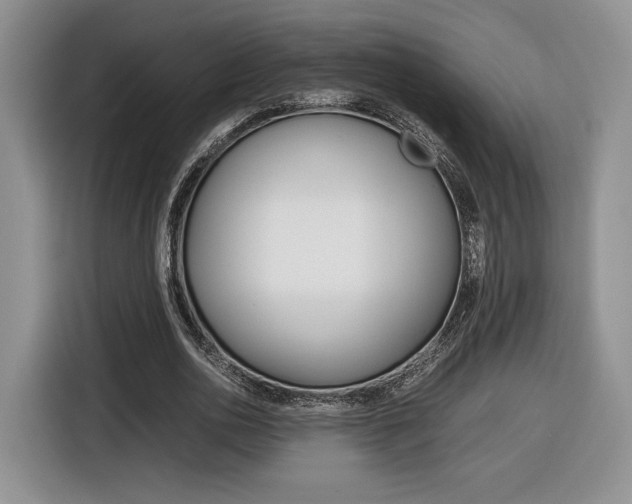 X0000116840726200912181114