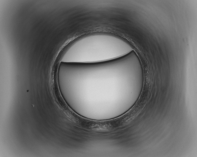 X0000116840727200912181114