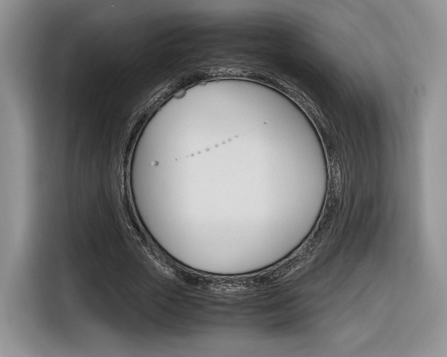 X0000116840729200912181114
