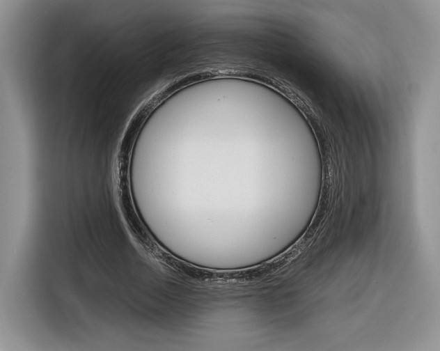 X0000116840730200912181114