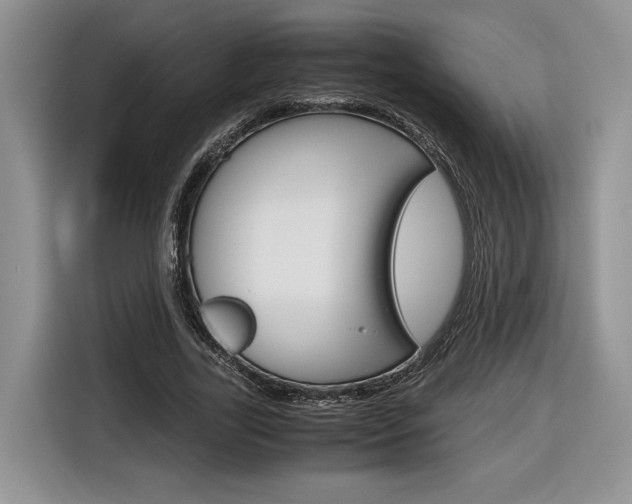 X0000116840731200912181114