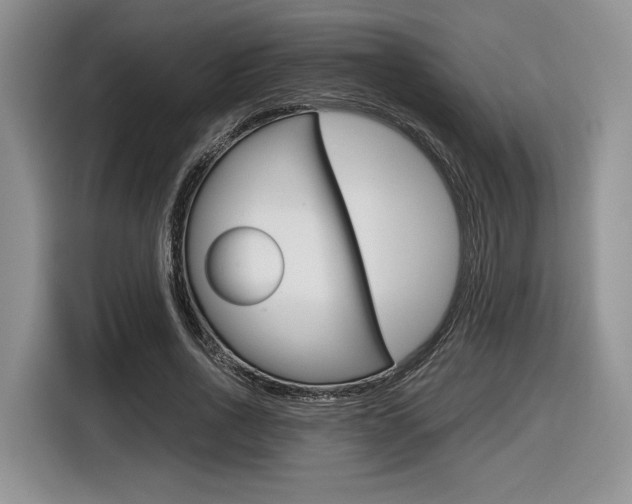 X0000116840734200912181114