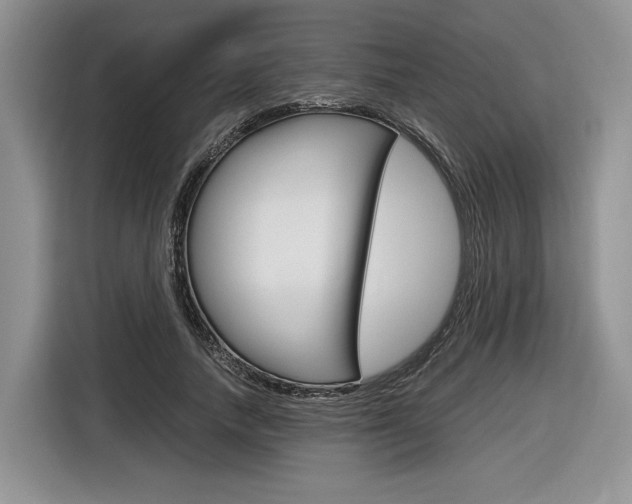 X0000116840738200912181114