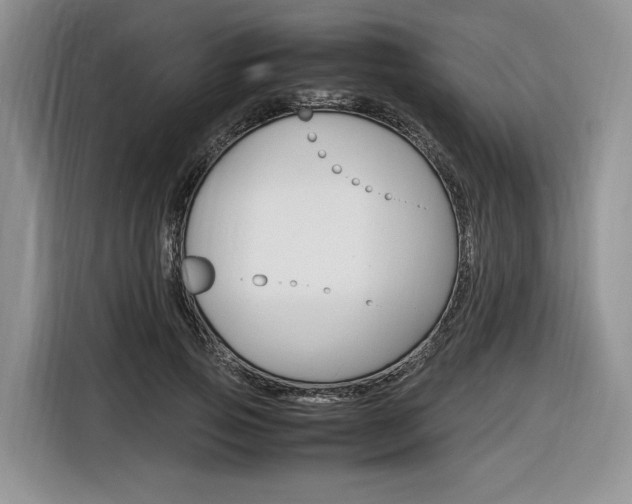 X0000116840741200912181114