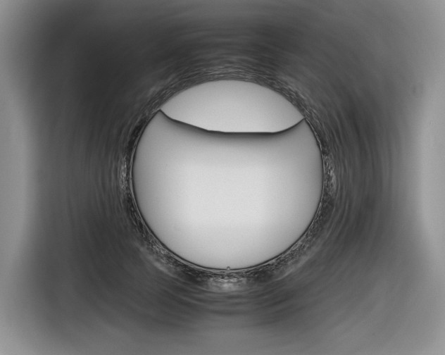 X0000116840745200912181114