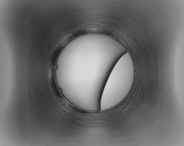 X0000116840746200912181114