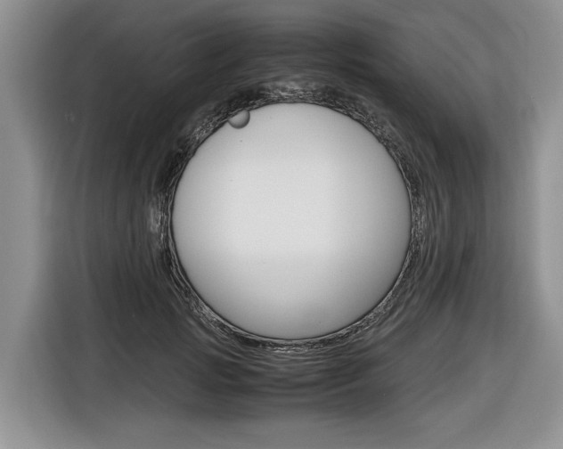 X0000116840749200912181114