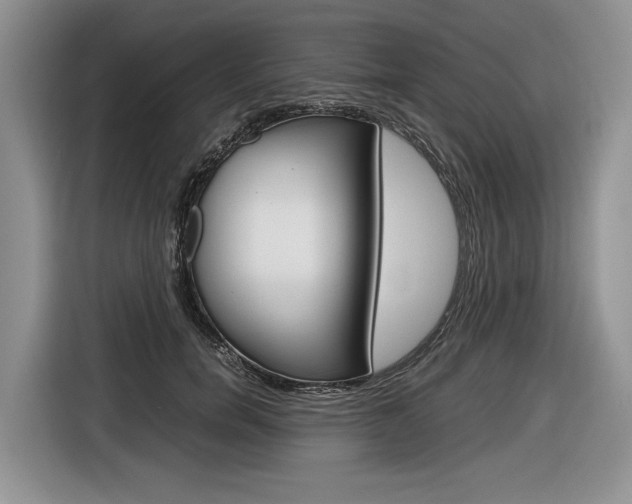 X0000116840750200912181114