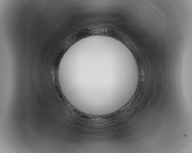 X0000116840753200912181114