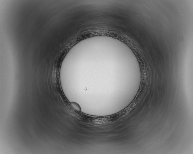 X0000116840757200912181114