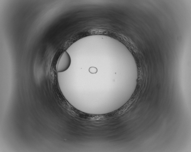 X0000116840761200912181114