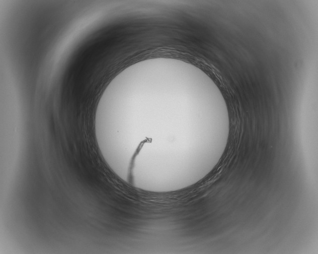 X0000116840762200912181114