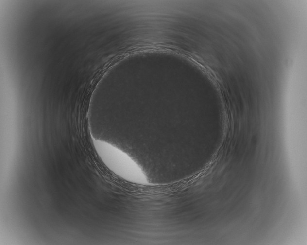 X0000116840770200912181114