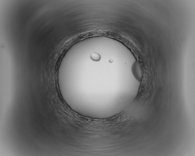 X0000116840773200912181113