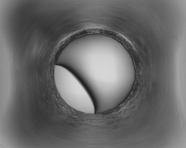 X0000116840775200912181113