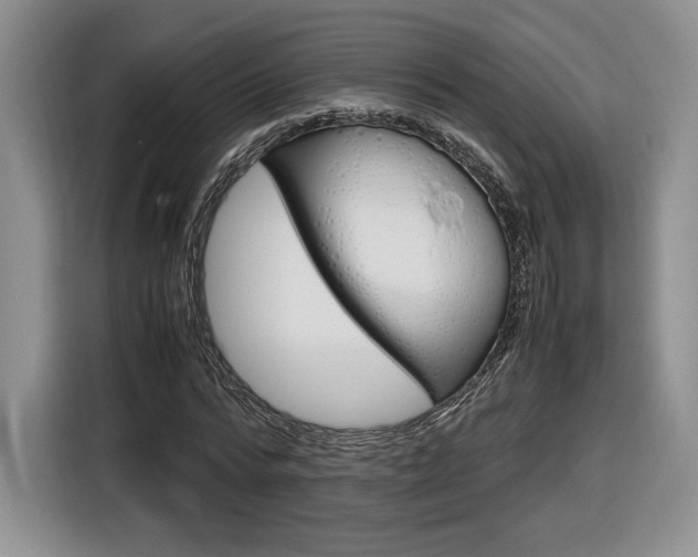 X0000116840776200912181113