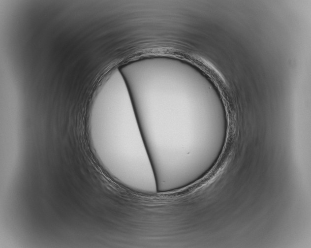 X0000116840777200912181113
