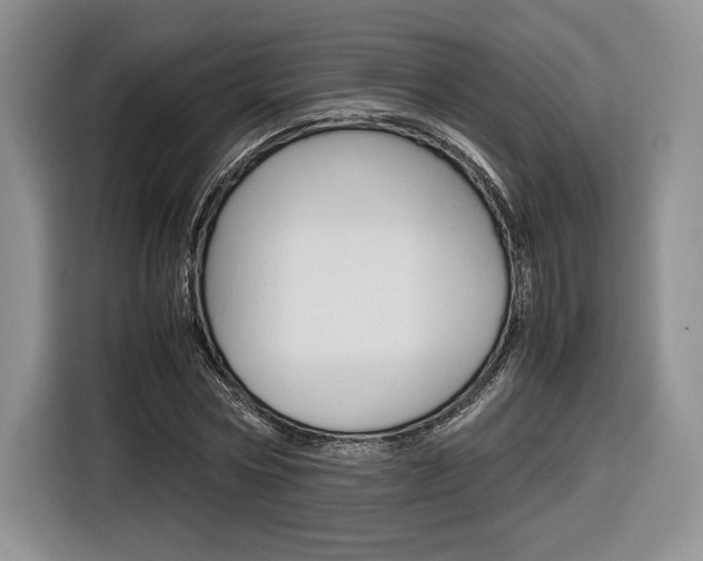 X0000116840778200912181113