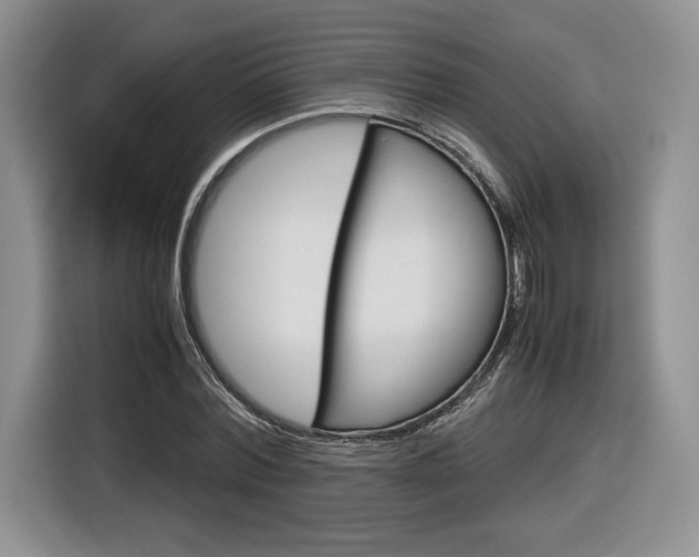 X0000116840780200912181113