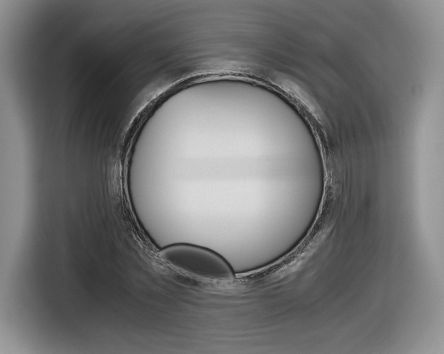 X0000116840781200912181113