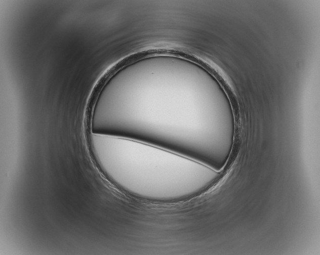 X0000116840783200912181113