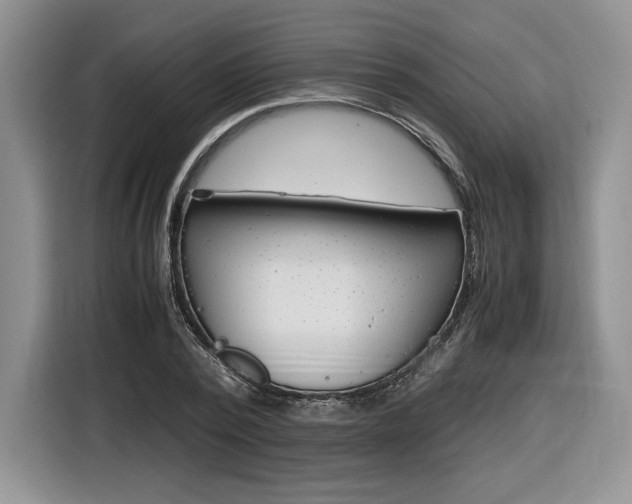 X0000116840784200912181113