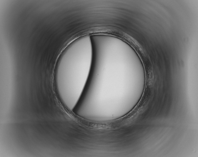 X0000116840786200912181113