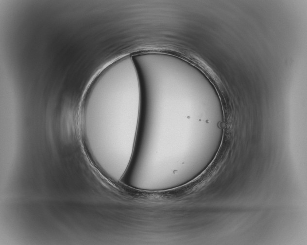 X0000116840787200912181113
