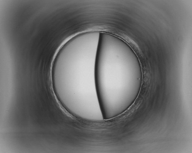 X0000116840792200912181113