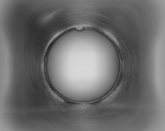 X0000116840797200912181113