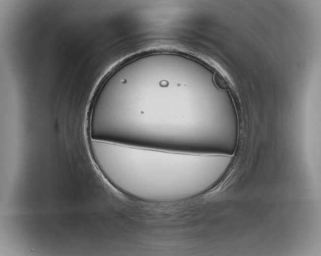 X0000116840799200912181113