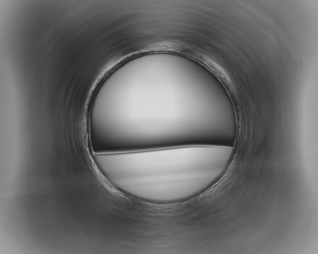 X0000116840800200912181113
