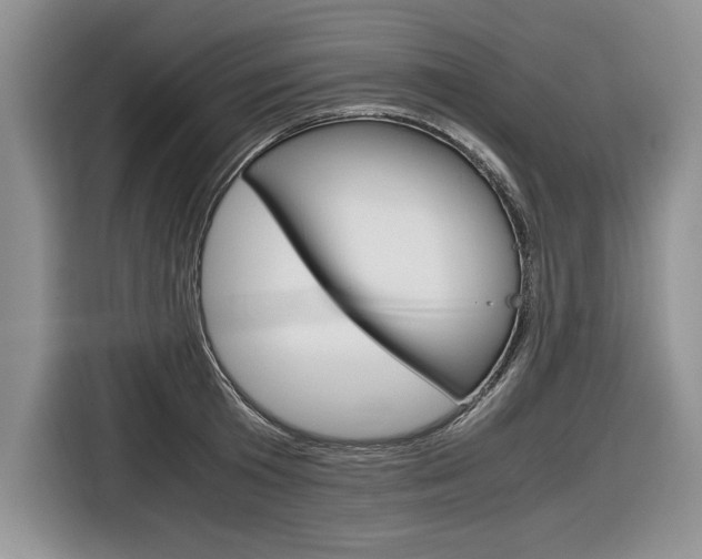 X0000116840801200912181113