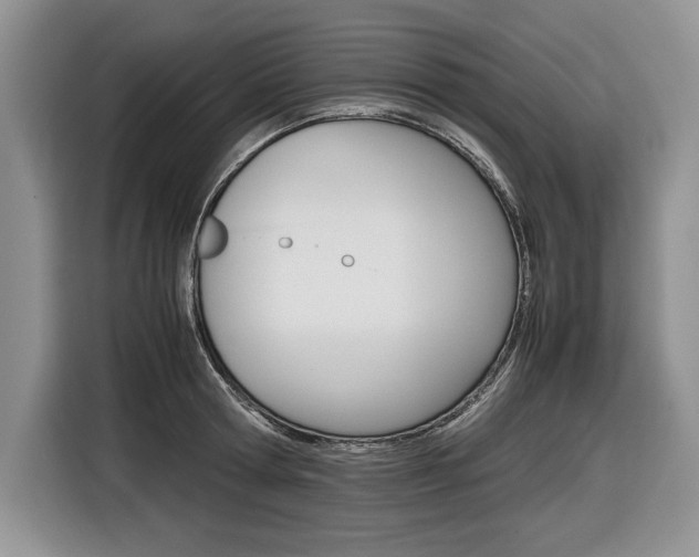 X0000116840802200912181113