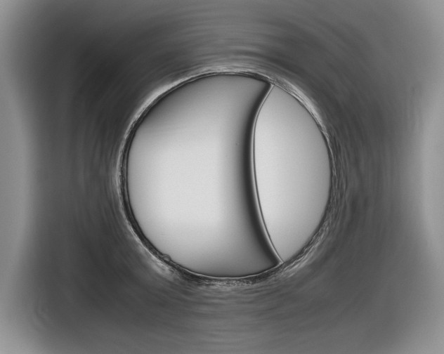 X0000116840803200912181113