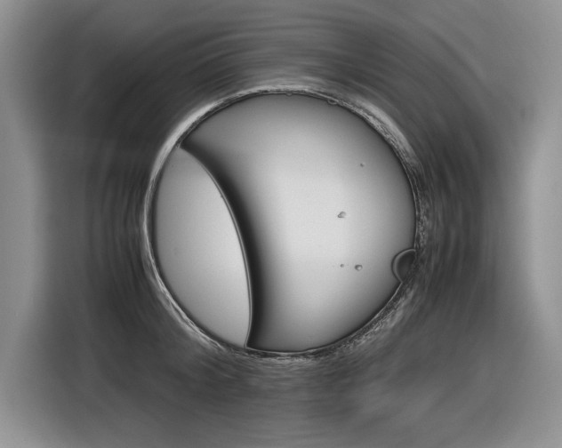 X0000116840804200912181113