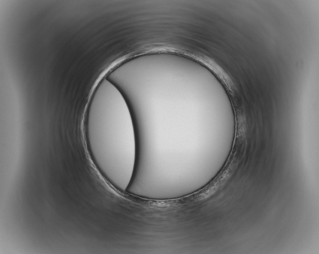 X0000116840806200912181113