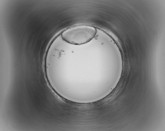 X0000116840807200912181113