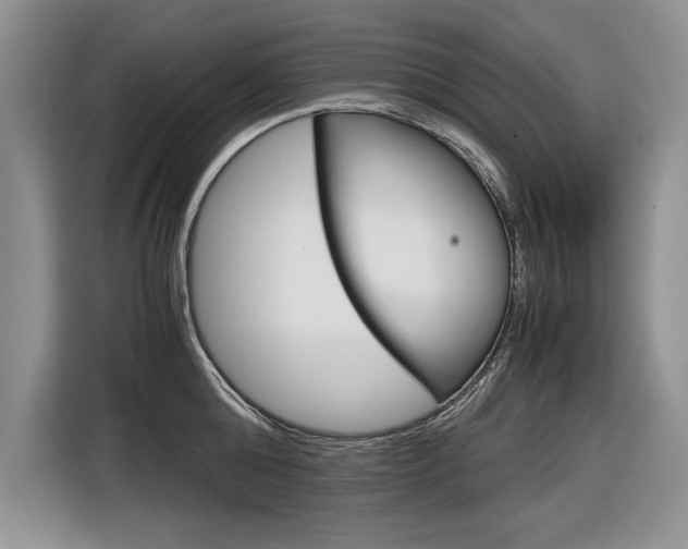X0000116840808200912181113