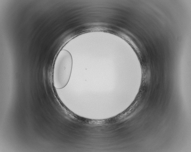 X0000116840810200912181113