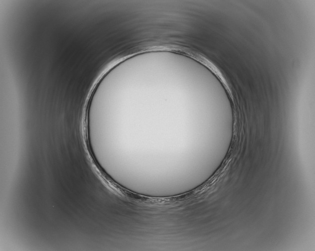 X0000116840811200912181113