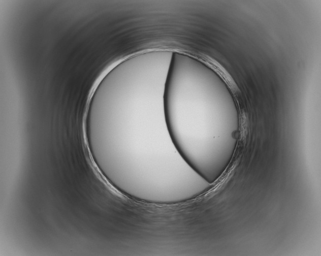 X0000116840812200912181113