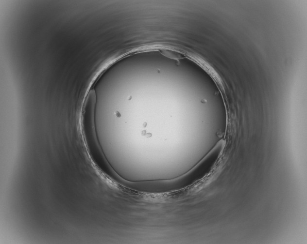 X0000116840813200912181113