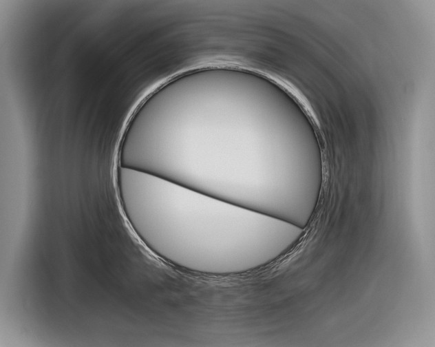 X0000116840815200912181113