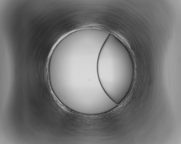X0000116840816200912181113